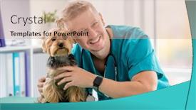  Presentation with clinic - PPT theme enhanced with veterinarian-and-yorkshire-terrier background and a coral colored foreground