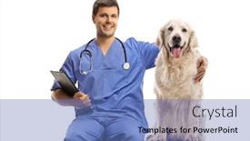  Presentation with dog - Presentation theme having veterinarian-doc-in-a-blue background and a teal colored foreground