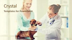  Presentation with health-care - Audience pleasing PPT layouts consisting of veterinarian doctor brushing dog teeth backdrop and a cream colored foreground