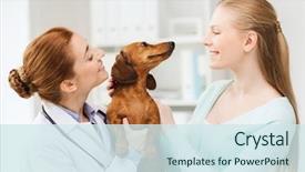  Presentation with vet - Beautiful PPT theme featuring veterinarian doctor holding dachshund dog backdrop and a sky blue colored foreground