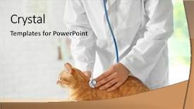  Presentation with dog and cat health - Audience pleasing slides consisting of veterinarian doctor with cat backdrop and a light gray colored foreground