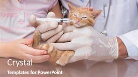  Presentation with injection - Colorful slides enhanced with veterinarian-doing-injection backdrop and a coral colored foreground