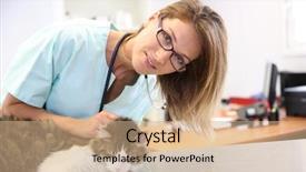  Presentation with infection - Slide set featuring veterinarian examining cat ear infection background and a  colored foreground