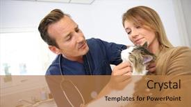  Presentation with chinese medicine clinic - Colorful PPT theme enhanced with veterinarian examining cat in clinic backdrop and a  colored foreground