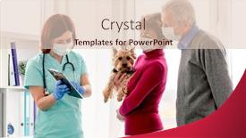  Presentation with diagnosis - Presentation design featuring veterinarian-explaining-yorkshire-terrier-diagnosis background and a lemonade colored foreground