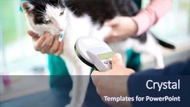  Presentation with implant - Amazing slide set having veterinarian identify cat by microchip backdrop and a navy blue colored foreground