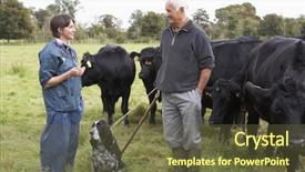  Presentation with vet - PPT theme consisting of cow sick - farmer in discussion with vet background and a tawny brown colored foreground