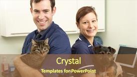  Presentation with veterinary nurse - Presentation theme having surgeon and nurse holding cat background and a tawny brown colored foreground