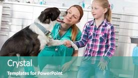  Presentation with kneeling - Slides featuring veterinary doctor and girl kneeling background and a teal colored foreground