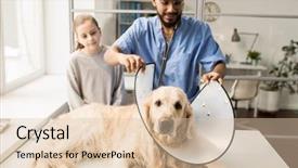  Presentation with funnel - Cool new slides with veterinary hospital putting funnel backdrop and a lemonade colored foreground