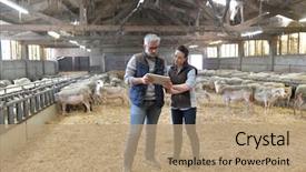  Presentation with veterinary - Slide deck enhanced with veterinary in shed using digital background and a coral colored foreground