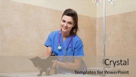  Presentation with veterinary nurse - Cool new presentation theme with veterinary nurse provides medical care backdrop and a coral colored foreground