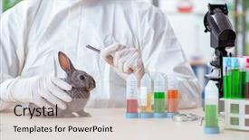  Presentation with animals - Theme consisting of veterinary pharmacy - scientist doing testing on animals background and a soft green colored foreground