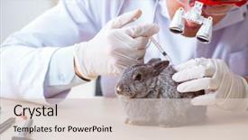  Presentation with animals - PPT theme with veterinary pharmacy - scientist doing testing on animals background and a lemonade colored foreground