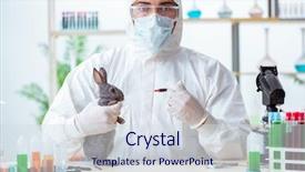  Presentation with animals - Audience pleasing theme consisting of veterinary pharmacy - scientist doing testing on animals backdrop and a sky blue colored foreground