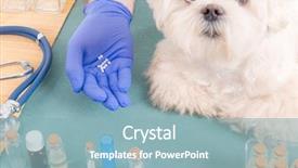  Presentation with homeopathic - Beautiful presentation theme featuring veterinary pharmacy - vet holding homeopathic globules backdrop and a light blue colored foreground