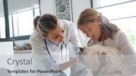  Presentation with veterinary - Audience pleasing presentation design consisting of veterinary with little girl checking backdrop and a light gray colored foreground