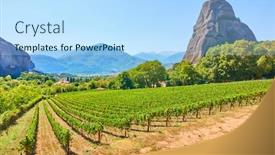  Presentation with vineyard - Amazing slide set having vew-of-vineyard-near-kastraki backdrop and a light blue colored foreground