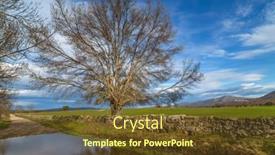  Presentation with way - PPT layouts enhanced with via-de-la-plata-way background and a tawny brown colored foreground