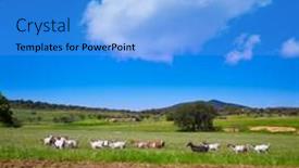  Presentation with way - Presentation enhanced with via-de-la-plata-way background and a light blue colored foreground