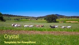  Presentation with way - Presentation theme consisting of via-de-la-plata-way background and a tawny brown colored foreground