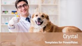  Presentation with golden - Amazing presentation design having vials - doctor examining golden retriever dog backdrop and a coral colored foreground