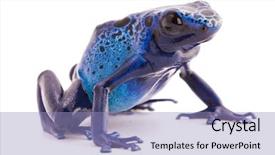  Presentation with vibrant blue - Beautiful PPT layouts featuring vibrant blue poison dart backdrop and a light blue colored foreground