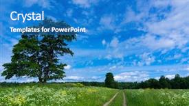  Presentation with green color maths - Slides featuring vibrant colors through the green background and a teal colored foreground