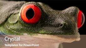  Presentation with costa rica - Cool new slide deck with vibrant eyes of a red backdrop and a coral colored foreground