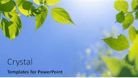  Presentation with vibrant blue - Slide deck having vibrant-green-foliage-against background and a light blue colored foreground