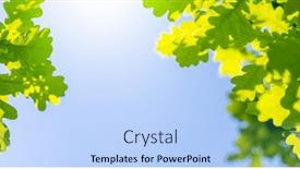  Presentation with vibrant blue - Slides enhanced with vibrant-green-foliage-against background and a light blue colored foreground