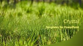  Presentation with grass - Slide deck having vibrant-green-grass-grassy-meadow background and a tawny brown colored foreground