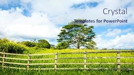  Presentation with kauai hawaii - Slide deck enhanced with vibrant-green-meadow-behind background and a sky blue colored foreground