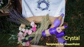  Presentation with milk bottle and milk glass - PPT theme enhanced with vibrant green vineyard - basket with flower and lavender background and a wine colored foreground