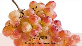  Presentation with pastel pink and gray - Slides enhanced with vibrant green vineyard - pink grape cluster isolated background and a red colored foreground