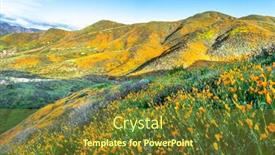  Presentation with bounce - Amazing slide deck having vibrant-orange-poppies-mixed backdrop and a tawny brown colored foreground