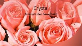  Presentation with wallpaper biologi cell - Presentation theme featuring vibrant pink roses - beauty background wallpaper background and a  colored foreground