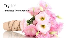  Presentation with pink roses - PPT layouts featuring vibrant pink roses - bouquet of eustoma flowers isolated background and a  colored foreground