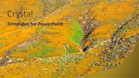  Presentation with bounce - Slide deck with vibrant-poppies-blooming background and a gold colored foreground