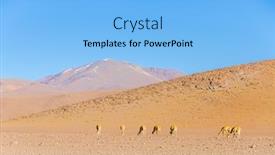  Presentation with desert oasis medical - PPT theme with vicunas in salvador dali desert eduardo avaroa andean fauna national reserve sur lipez bolivia background and a light blue colored foreground