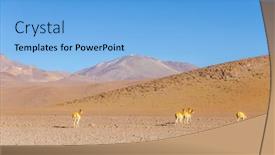  Presentation with desert - PPT layouts consisting of vicunas in salvador dali desert eduardo avaroa andean fauna national reserve sur lipez bolivia background and a light blue colored foreground