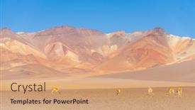  Presentation with camel in the thar desert - Beautiful slides featuring vicunas in salvador dali desert eduardo avaroa andean fauna national reserve sur lipez bolivia backdrop and a coral colored foreground