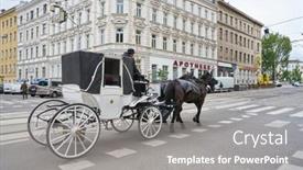  Presentation with vienna - 