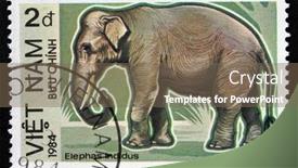  Presentation with postage - 