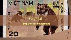  Presentation with brown bear - 