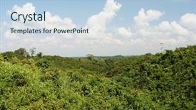  Presentation with rainforest - Presentation theme having vietnam forest - rainforest in myanmar background and a  colored foreground