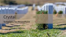  Presentation with veterans - Theme enhanced with vietnam war - veterans cemetery adorned with wreaths background and a coral colored foreground