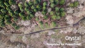  Presentation with winter forest - Slide deck consisting of view above winter temperate forest background and a gray colored foreground