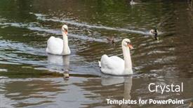  Presentation with british columbia - Presentation theme enhanced with view-at-lake background and a gray colored foreground