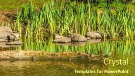  Presentation with british columbia canada - Colorful PPT theme enhanced with view-at-small-pond backdrop and a tawny brown colored foreground